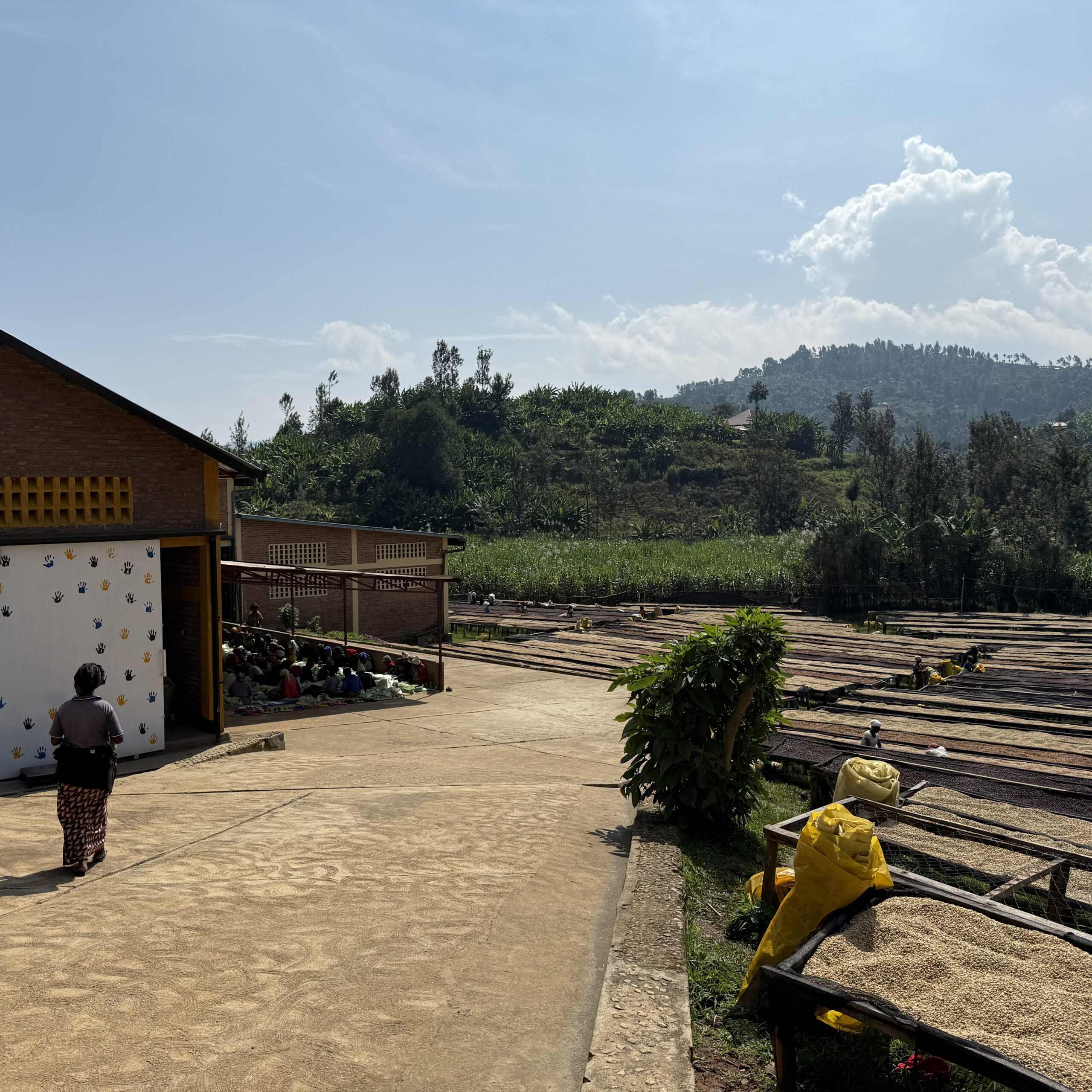 6 713 Rugali Honey_1